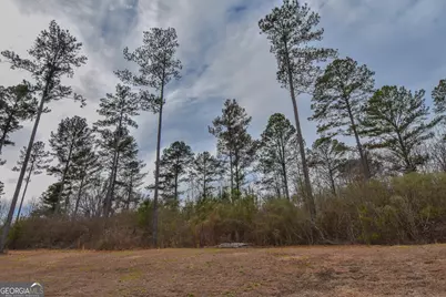 580 I B Howard Road, Williamson, GA 30292 - Photo 67