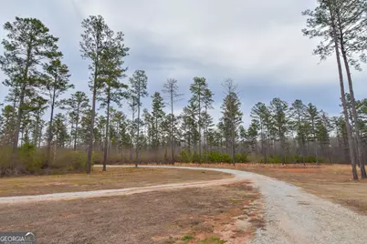 580 I B Howard Road, Williamson, GA 30292 - Photo 59