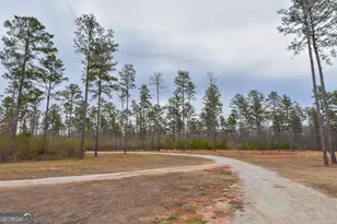 580 I B Howard Rd, Williamson, GA 30292 - Photo 59