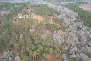 580 I B Howard Rd, Williamson, GA 30292 - Photo 99