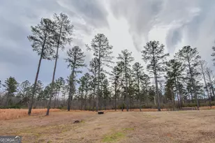 580 I B Howard Rd, Williamson, GA 30292 - Photo 75