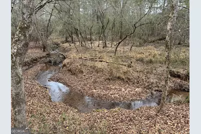 580 I B Howard Road, Williamson, GA 30292 - Photo 119