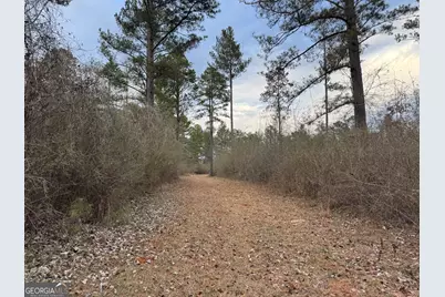 580 I B Howard Road, Williamson, GA 30292 - Photo 111