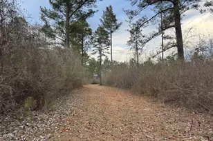 580 I B Howard Rd, Williamson, GA 30292 - Photo 111