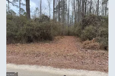 580 I B Howard Road, Williamson, GA 30292 - Photo 109