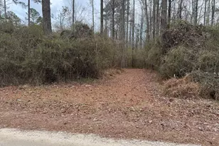 580 I B Howard Rd, Williamson, GA 30292 - Photo 109