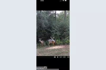 580 I B Howard Road, Williamson, GA 30292 - Photo 121