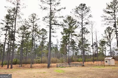 580 I B Howard Road, Williamson, GA 30292 - Photo 79