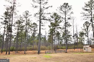 580 I B Howard Rd, Williamson, GA 30292 - Photo 79