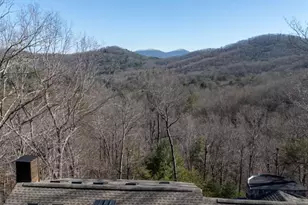 244 Tipton Court, Cherry Log, GA 30522 - Photo 37