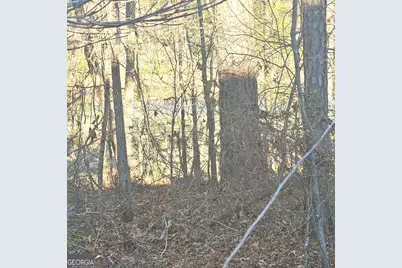 615 Birkdale Drive, Fairburn, GA 30213 - Photo 3