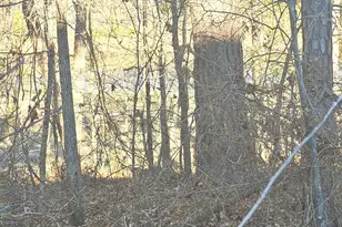 615 Birkdale Dr, Fairburn, GA 30213 - Photo 3