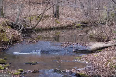 1140 City Pond Road, Barnesville, GA 30204 - Photo 33