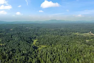 416 Mill Stone Mountain Ln, Blue Ridge, GA 30513 - Photo 43