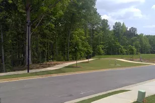 11933 Aukerman Wy, Hampton, GA 30228 - Photo 35