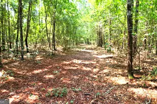 124 Cherokee Dr, Guyton, GA 31312 - Photo 7