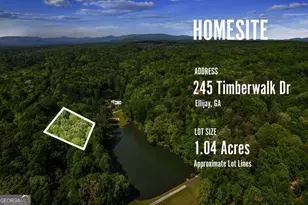 245 Timberwalk Dr, Ellijay, GA 30540 - Photo 51