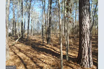 1201 Spinnaker Road, Buckhead, GA 30625 - Photo 11