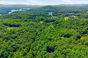 756 Gordon Thomas Rd, Blairsville, GA 30512 - Photo 57