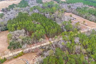 1670 Beaver Dam Rd, Odum, GA 31555 - Photo 37