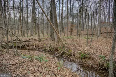 2049 Midway Church Road, Newborn, GA 30056 - Photo 73