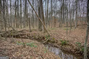 2049 Midway Church Rd, Newborn, GA 30056 - Photo 73