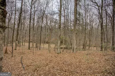 2049 Midway Church Road, Newborn, GA 30056 - Photo 71