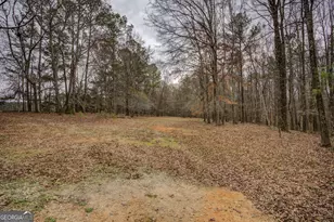 2049 Midway Church Rd, Newborn, GA 30056 - Photo 67