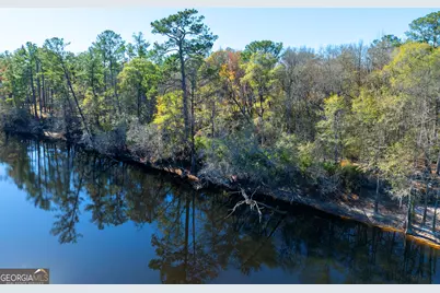 0 Stephen Park Road, Nahunta, GA 31553 - Photo 7