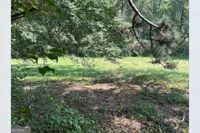 0 Attaway Road-9.22, Bowdon, GA 30108 - Photo 3