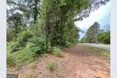 0 Mosley Road, Claxton, GA 30417 - Photo 5