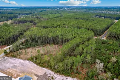 Lot 94 Waverly West Lane, White Oak, GA 31568 - Photo 17