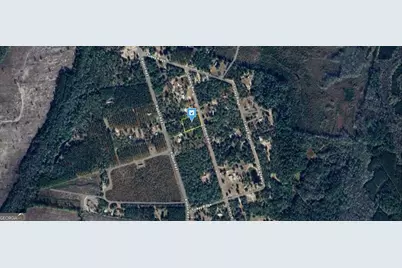 200 Gobblers Run, Nahunta, GA 31553 - Photo 3