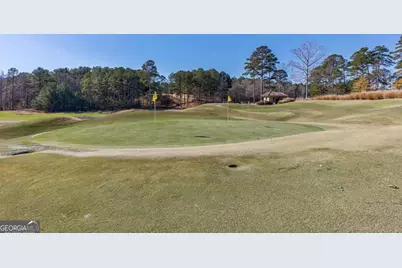 1040 Bunker Bend, Greensboro, GA 30642 - Photo 13