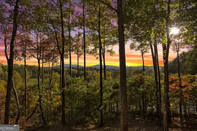 5240 Squirrel Hunting Road, Morganton, GA 30560 - Photo 29