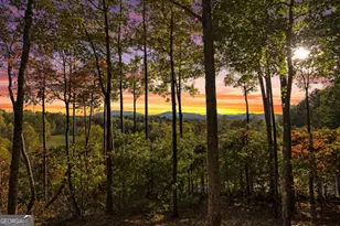 5240 Squirrel Hunting Rd, Morganton, GA 30560 - Photo 29