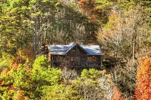 146 Rosiey Ln, Blue Ridge, GA 30513 - Photo 3