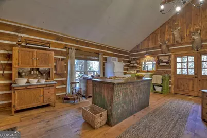 4011 Murphy Highway, Mineral Bluff, GA 30559 - Photo 39