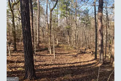 1060 Dejarnet Place, Greensboro, GA 30642 - Photo 5