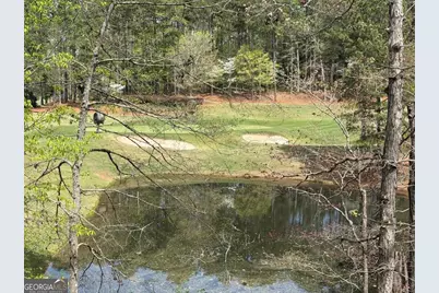 1060 Dejarnet Place, Greensboro, GA 30642 - Photo 13