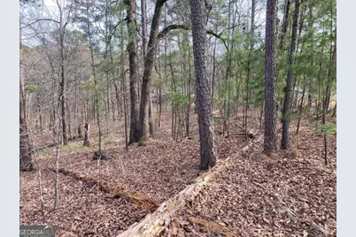 1060 Dejarnet Place, Greensboro, GA 30642 - Photo 9