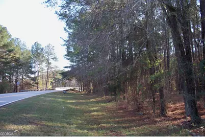 2991 Carey Station Road, Greensboro, GA 30642 - Photo 15