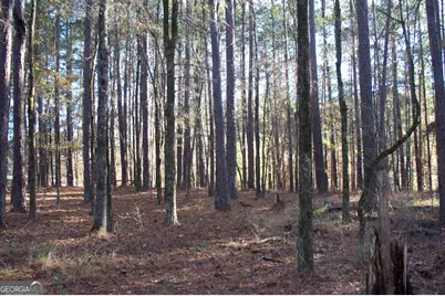 2991 Carey Station Road, Greensboro, GA 30642 - Photo 3