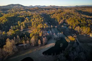 3800 Cutcane Rd, Mineral Bluff, GA 30559 - Photo 59