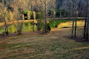 3800 Cutcane Rd, Mineral Bluff, GA 30559 - Photo 61