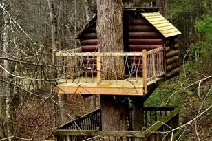 3800 Cutcane Rd, Mineral Bluff, GA 30559 - Photo 67