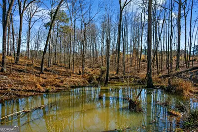 440 &amp; 448 Kimbrough Road, Lagrange, GA 30240 - Photo 83