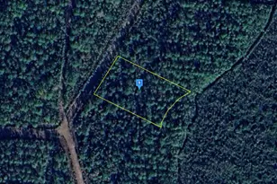 1053 Kings Bay Rd, Waynesville, GA 31566 - Photo 1