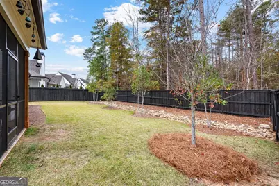 19 Dappers Landing, Newnan, GA 30265 - Photo 61