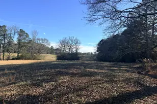 910 Line Creek Rd, Senoia, GA 30276 - Photo 53